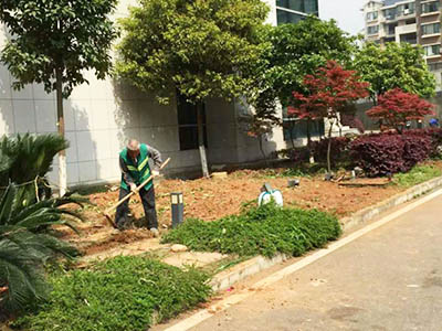 小區(qū)補栽補種