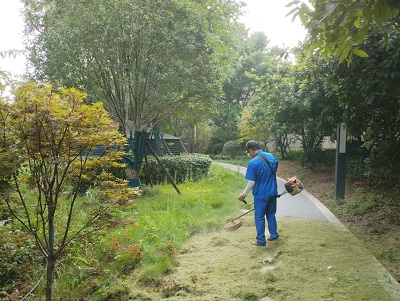 長沙市亮宇園林綠化工程有限公司,長沙園林養護,長沙大樹移植,小型樹種及花草哪里的好
